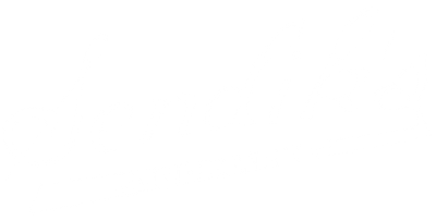 Partner Name